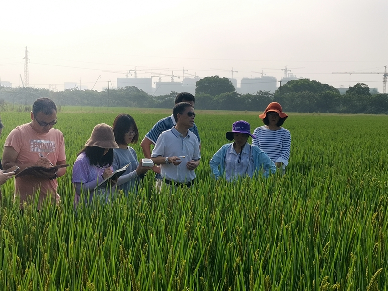 1570602875665381.jpg f4b394b9e7f7f0db47896bfddc3f9c9_副本.jpg