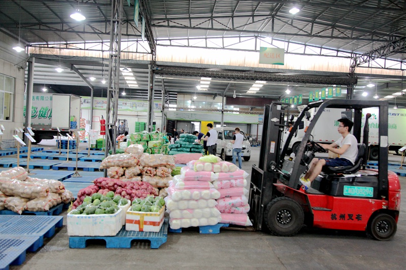 1619776215548205.jpg 浙農茂陽_副本.jpg