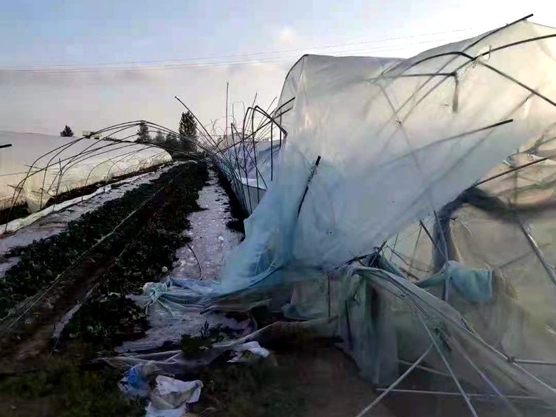 1620726009380309.jpg 2267965dea1e01cff708e6db8869a11_副本.jpg