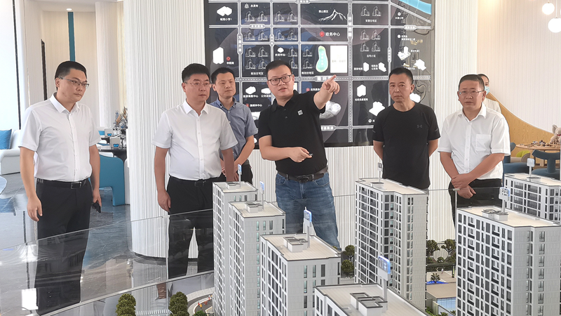 松陽縣委副書記梁海剛到美林&middot;南宸府項目調(diào)研