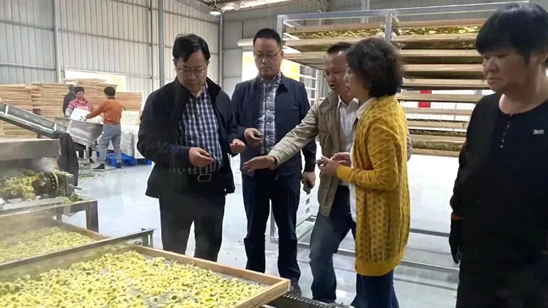 1668560583823822.jpg 微信圖片_20221109170734_副本.jpg