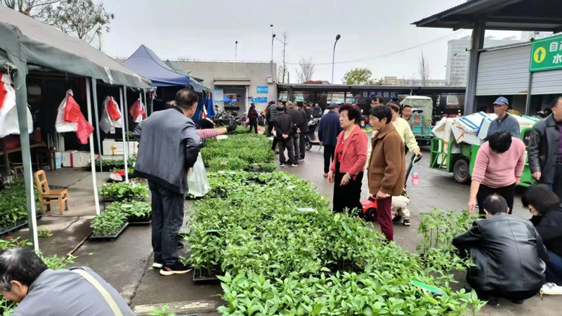 緩解&ldquo;賣菜難&rdquo; 建德農(nóng)批市場(chǎng)自產(chǎn)自銷臨時(shí)攤位投入使用