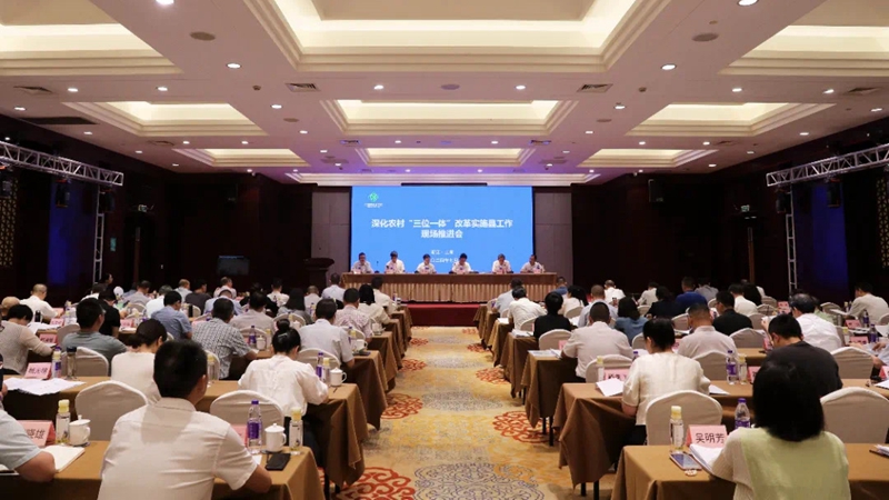 浙江農(nóng)合積極助力深化農(nóng)村&ldquo;三位一體&rdquo;改革