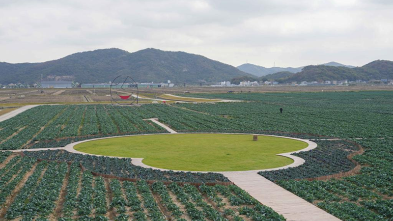 浙農科技岱山運營項目獲人民日報、新華社、央視等主流媒體關注