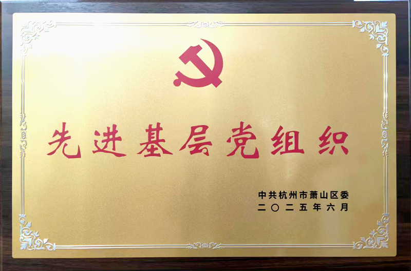 新光公司黨支部榮獲&ldquo;蕭山區(qū)先進基層黨組織&rdquo;稱號