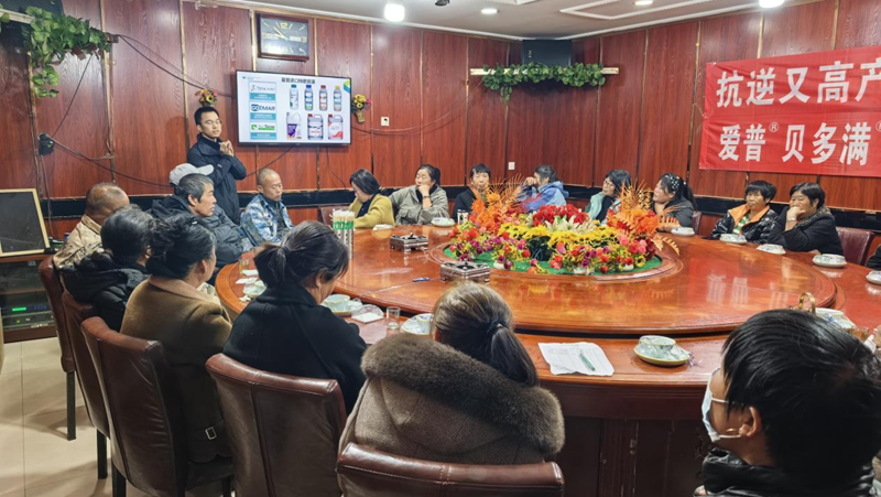 愛(ài)普科技在遼寧盤(pán)錦舉辦葡萄科學(xué)施肥培訓(xùn)暨產(chǎn)品推廣會(huì)