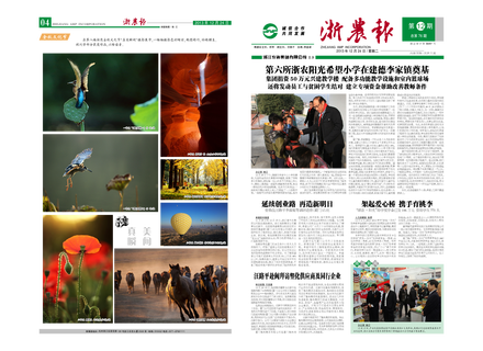 浙農(nóng)報(bào)2013年第12期(一、四版)